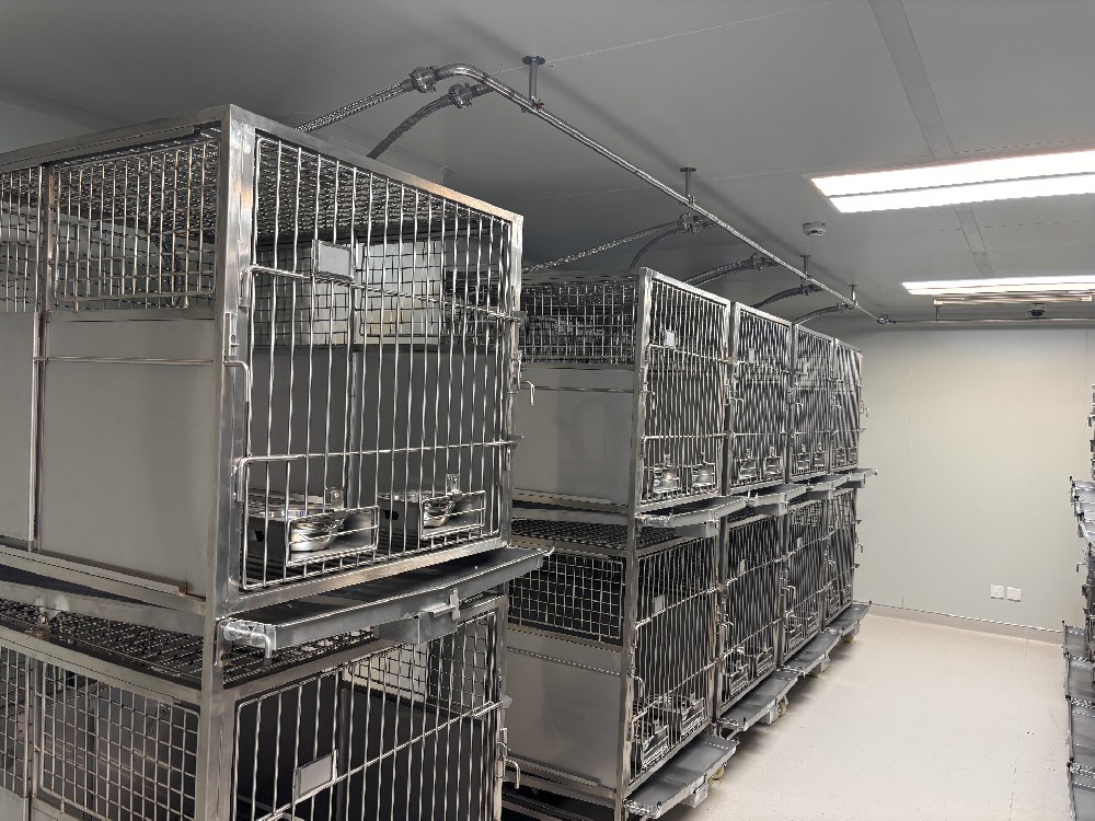 动物房、动物实验室装修